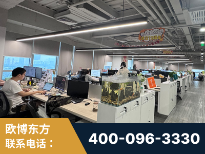 朝阳-企业展示图